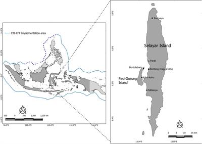 Community champions of ecosystem services: The role of local agency in protecting Indonesian coral reefs